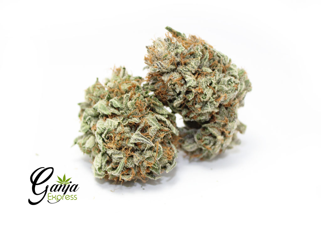 kootney-island-indica-2