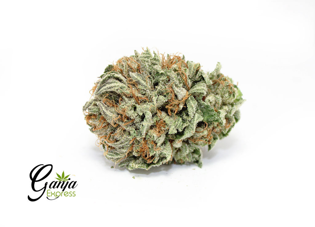 kootney-island-indica