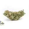 amnesia-haze