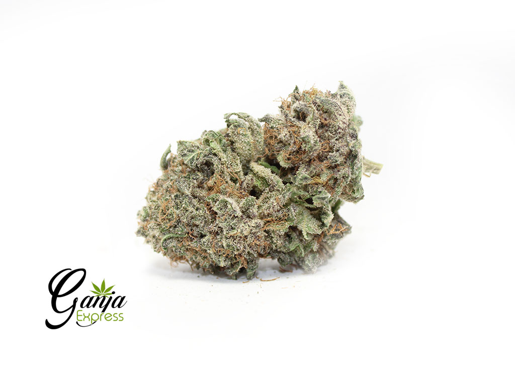 gods-green-crack