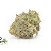 greeen-poison-2