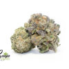purple-oracle-2