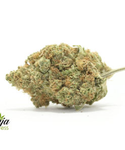 clementine-1
