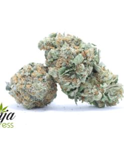 gorilla-glue-1-2