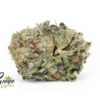 purple-widow