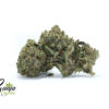 BLACK-TUNA-KUSH-2