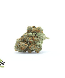 MANGO-COOKIES-1