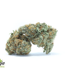 MANGO-COOKIES-2