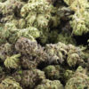 gexp236-2