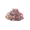 purpledrank1