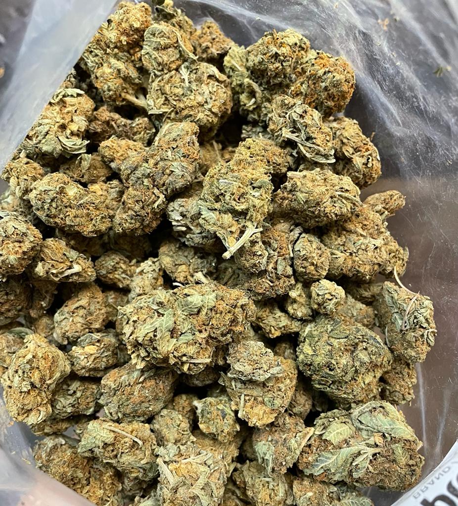 GG4