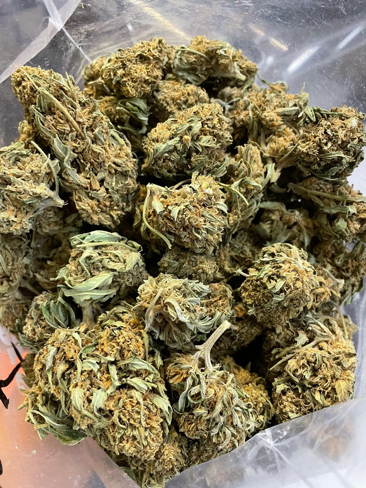 VioletD-2