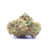 gsc1