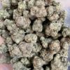 blackcoma