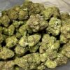 gorillaglue