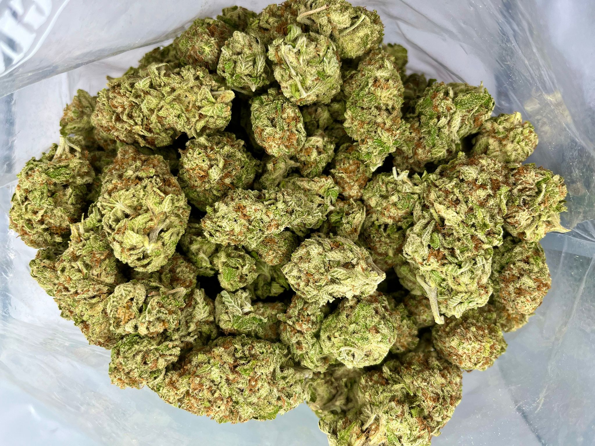 greencrack2