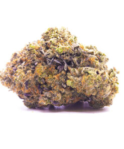 khalifa1
