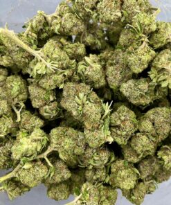 tuna2