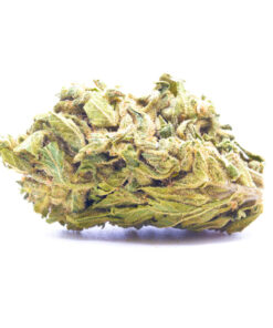 afghan1