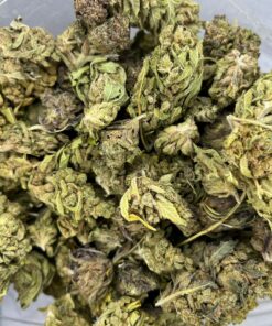 afghan2