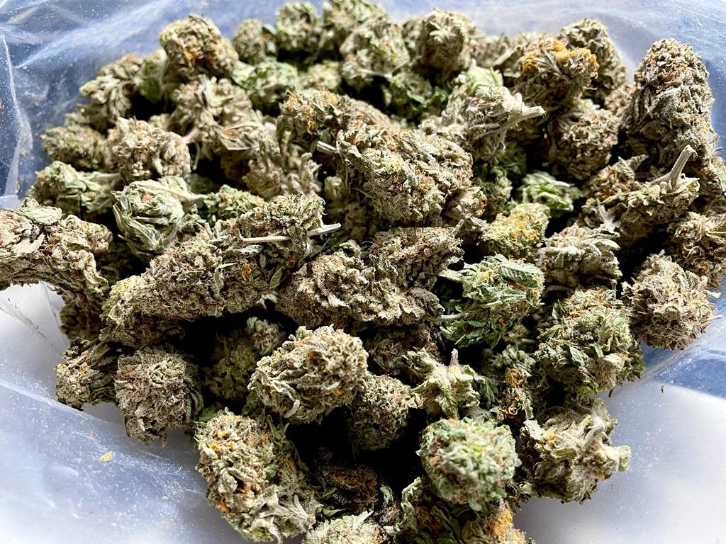 gelato33