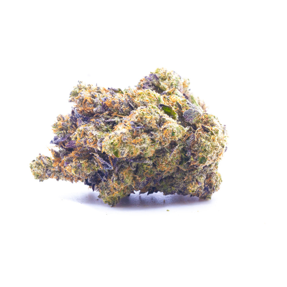 prock1