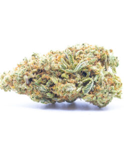 bluecifer1