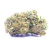 black afghan1