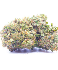 black afghan1