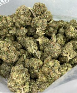 black afghan2