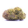 pinetar1