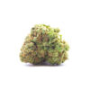snoopdog1