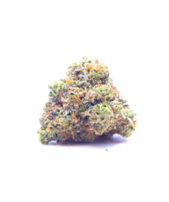 firstclassfunk1