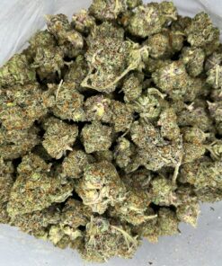 firstclassfunk2