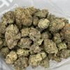 gorilla2