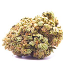 sugarkush1