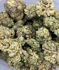 sugarkush2
