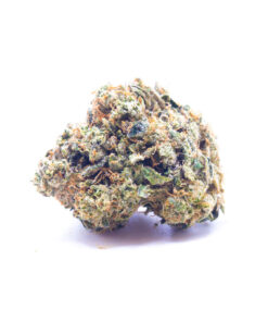 titanhaze1