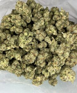 titanhaze2