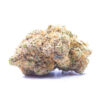 alientech1