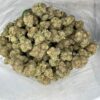 alientech2