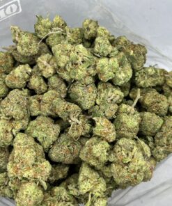sugarbreath2