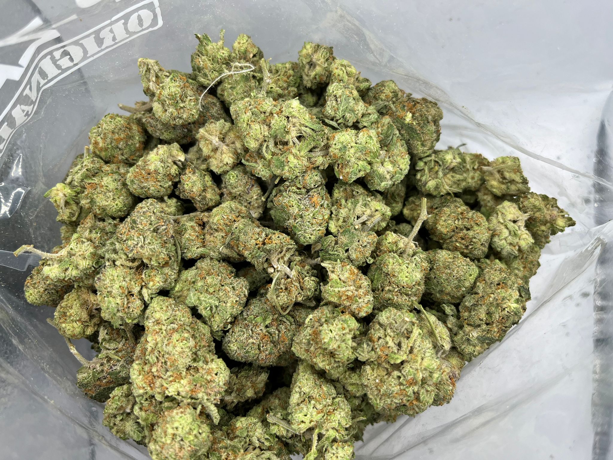 sugarbreath2