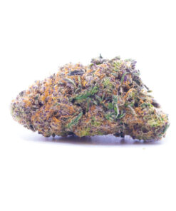 orangewreck1