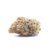 orangewreck1