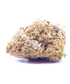 orangewreck1