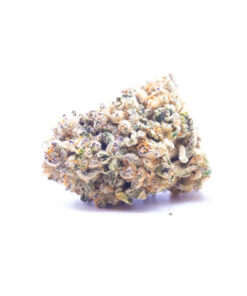 Mekamika