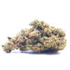 cookieglue1