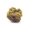 mango1