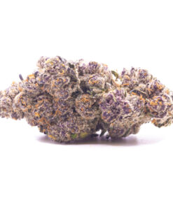 purple1